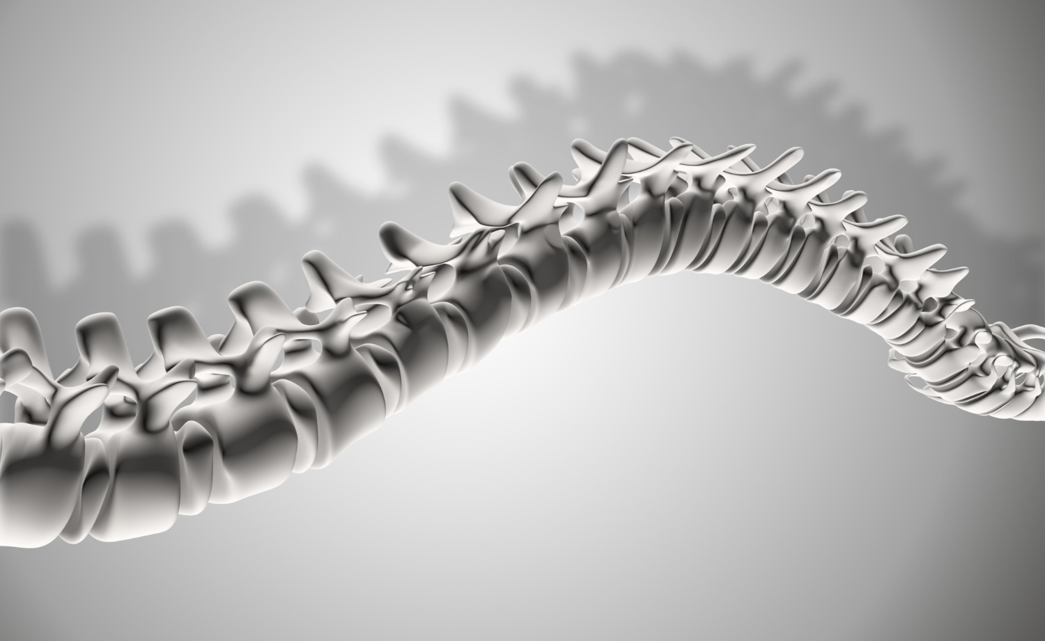 Pourquoi avons-nous perdu notre queue ?