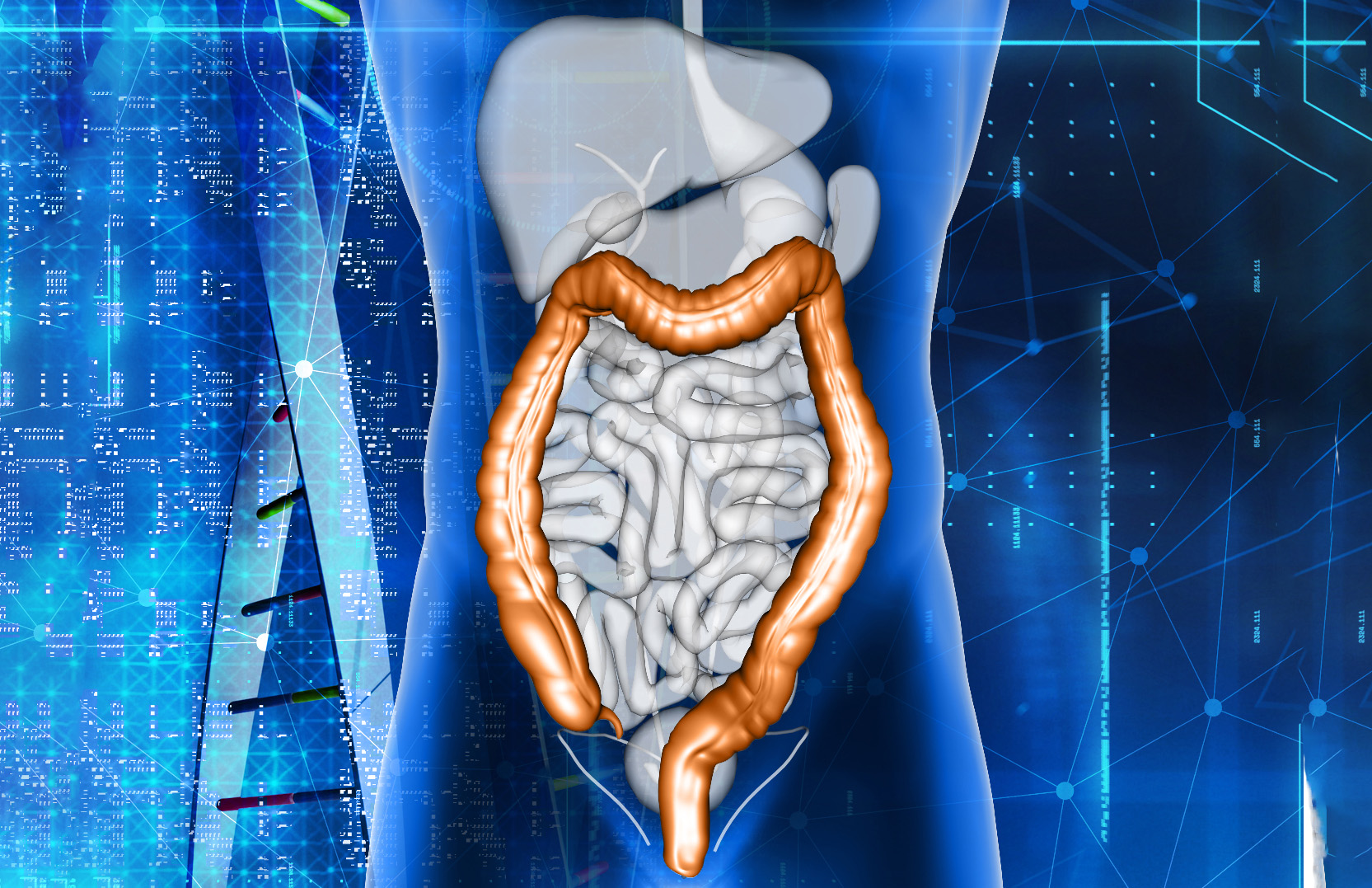 2. Constipation : un danger silencieux pour les reins