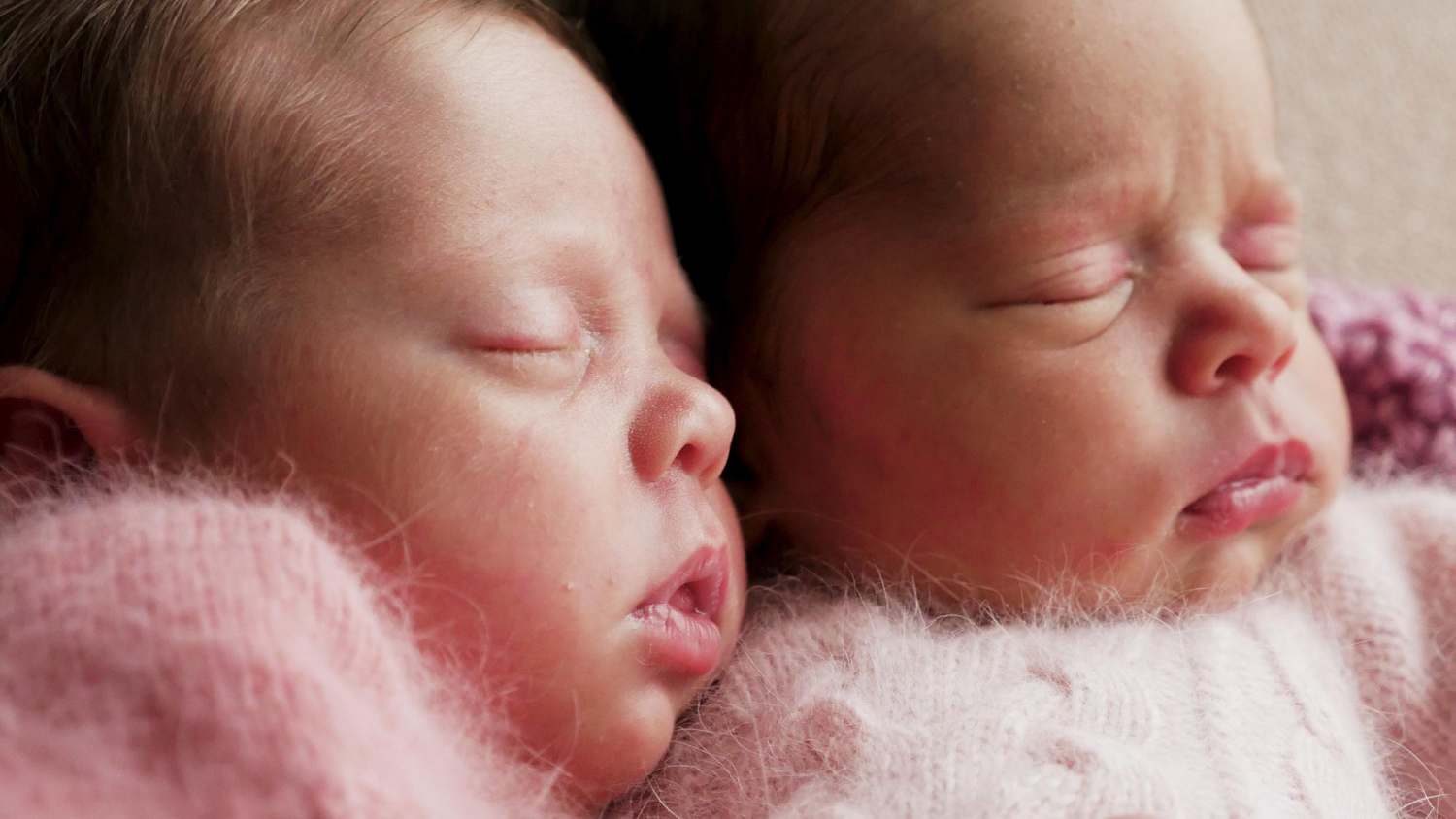 Des jumelles séparées à la naissance : l’une élevée aux États-Unis, l’autre en Corée, présentent une énorme différence d’intelligence