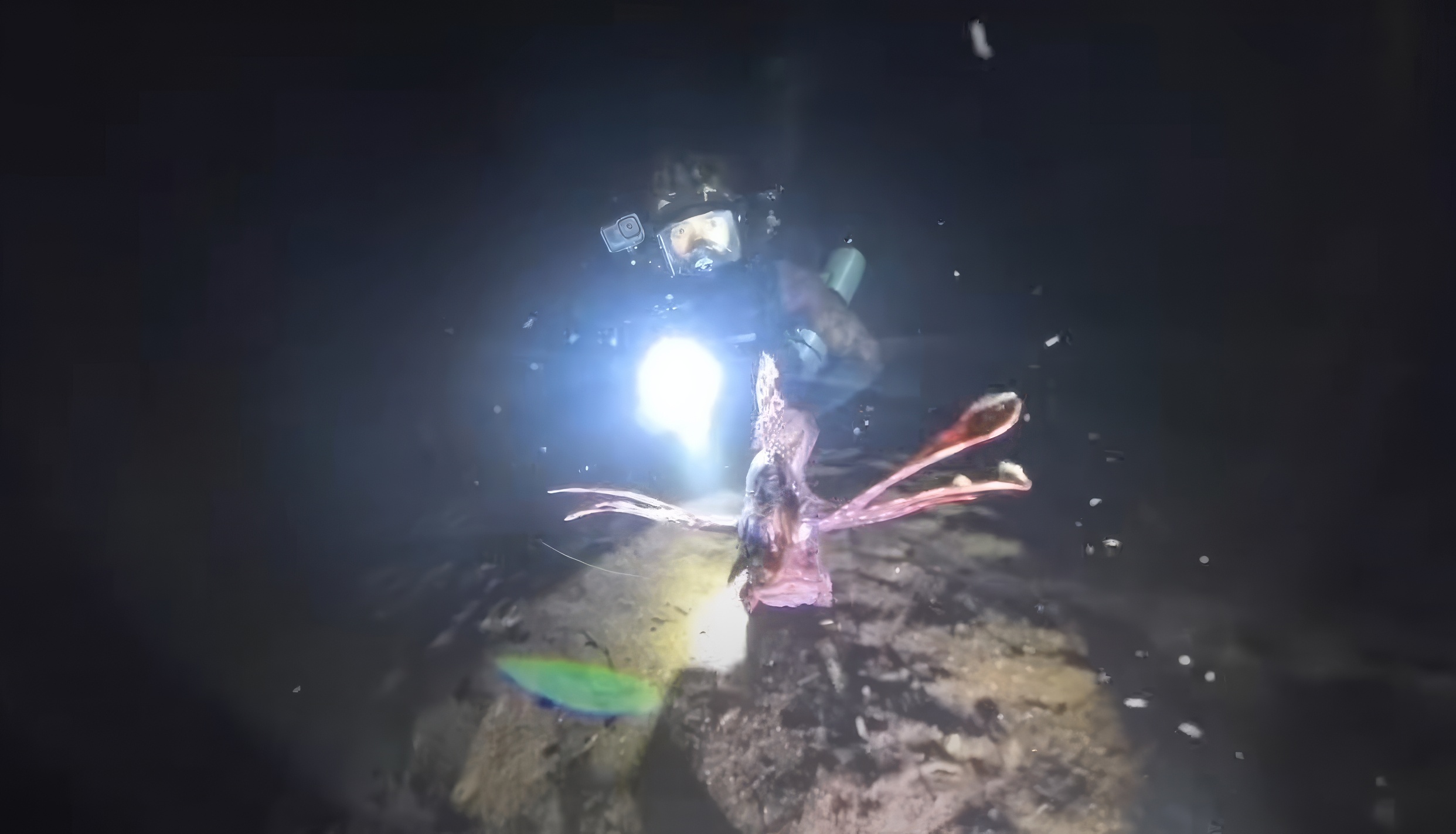 une expédition peu ordinaire au fond de l’océan