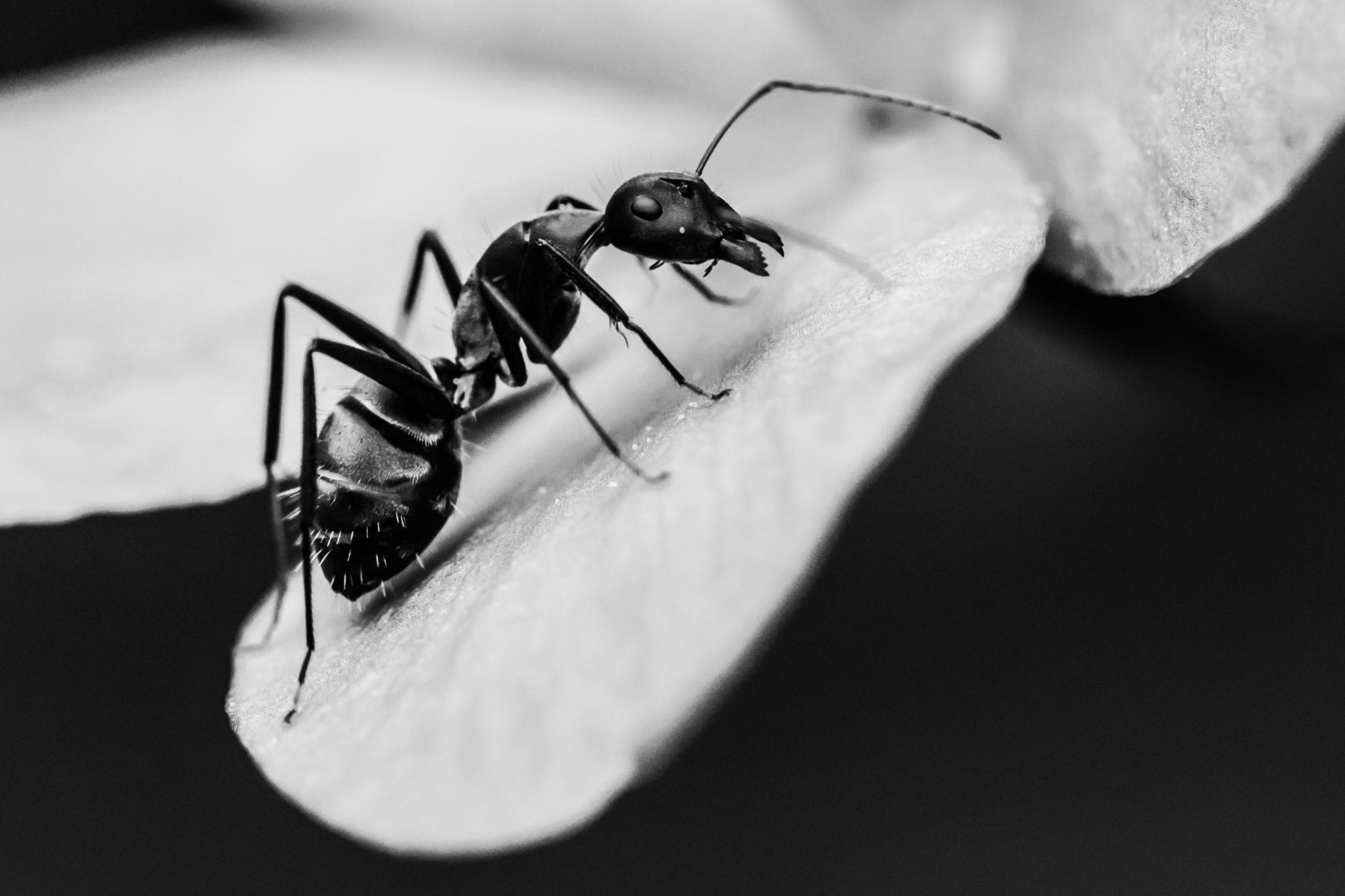 Un trésor minuscule qui éclaire le passé