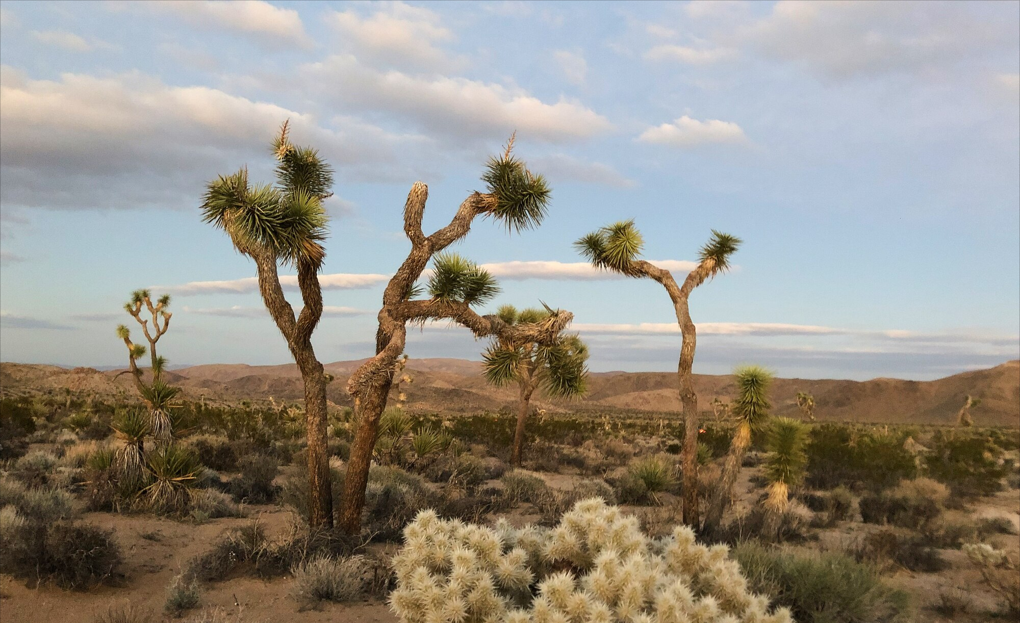 Une nature pleine de surprises