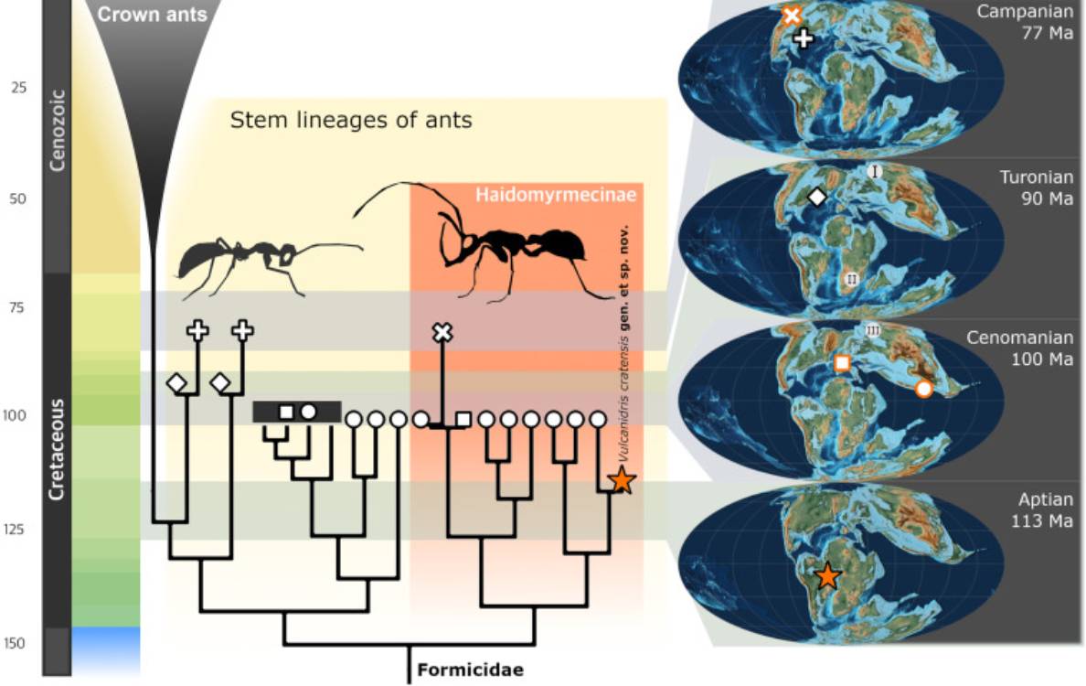 Une évolution plus rapide que prévu