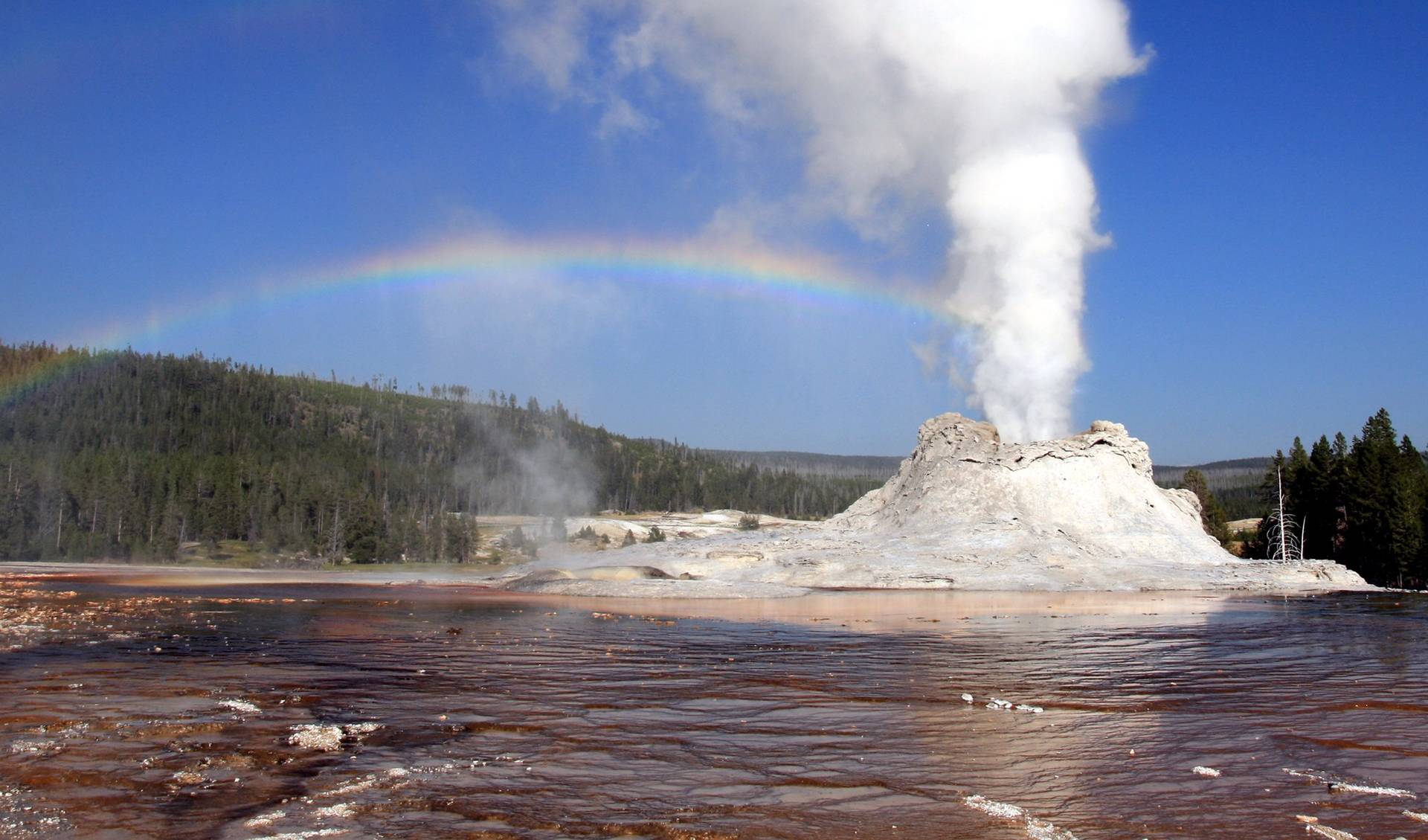 La “recette” des scientifiques pour le retrouver