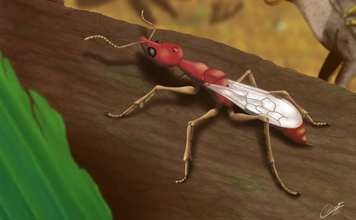 Des traits dignes d’un cauchemar