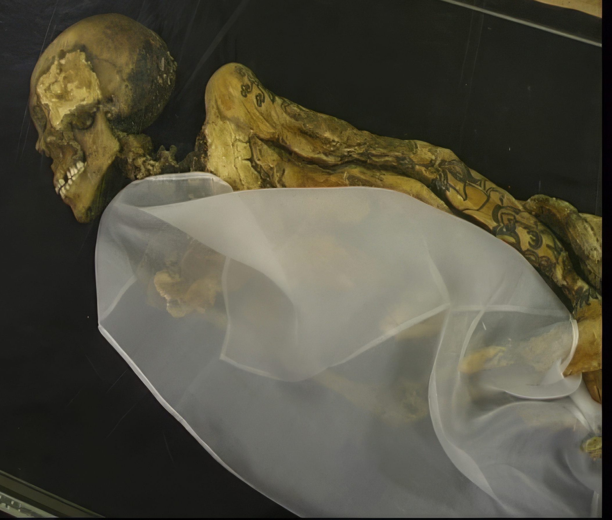 sur une momie vieille de 2500 ans, des tatouages d’une modernité déconcertante