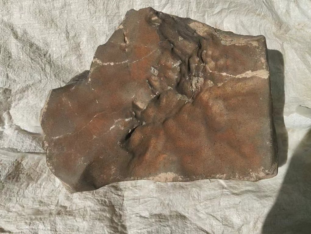 NWA 16788, une roche pas comme les autres