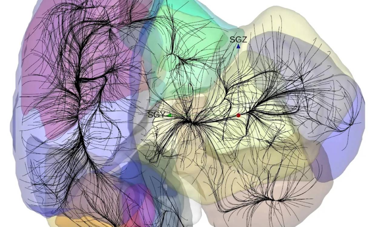 La découverte : les « bassins d'attraction »