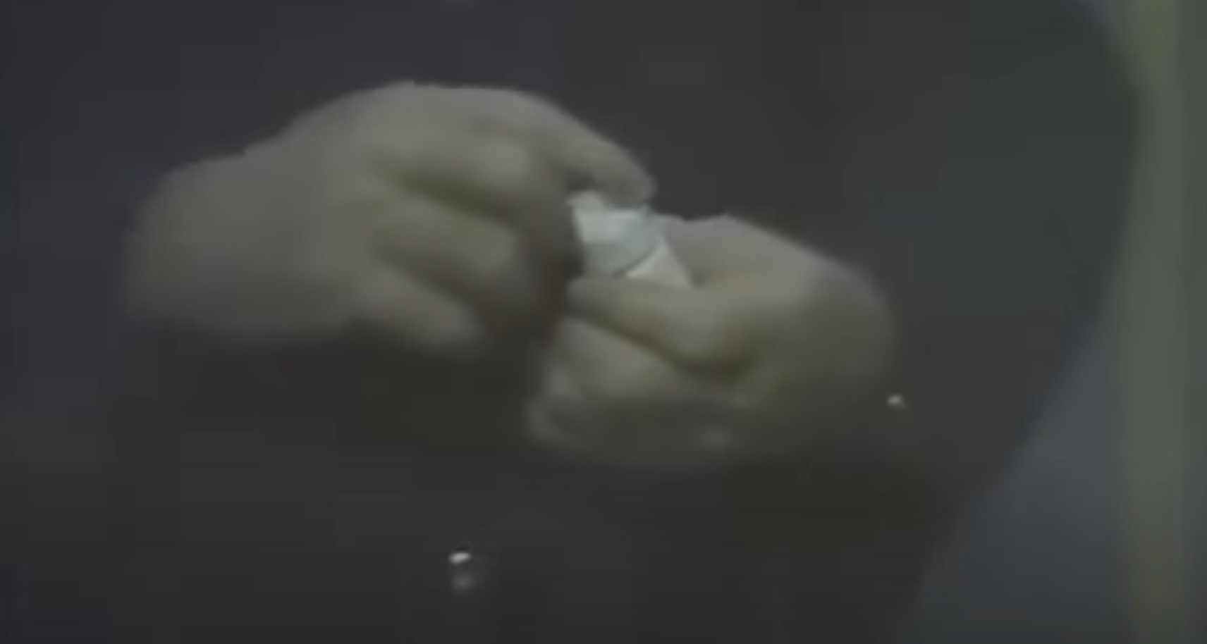 La démonstration choc de 1985