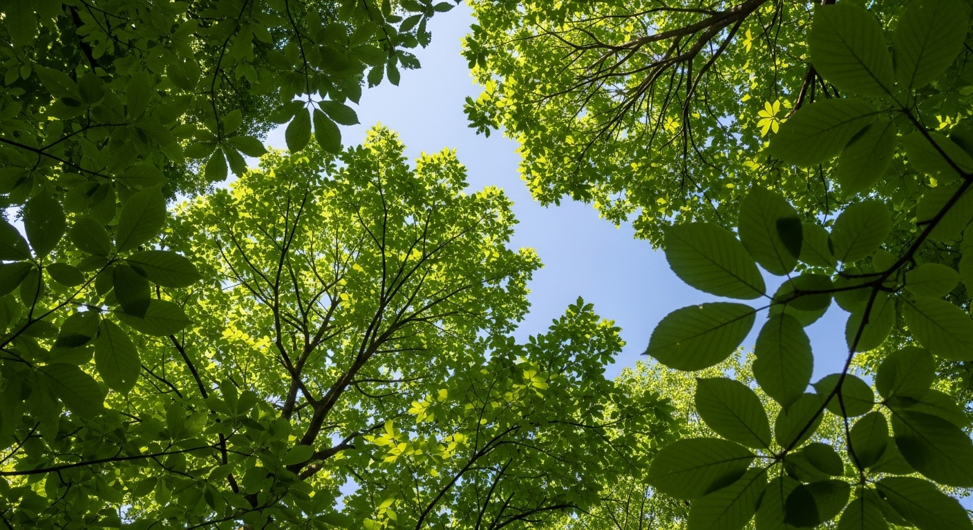 La science le dit : la nature est notre meilleure alliée