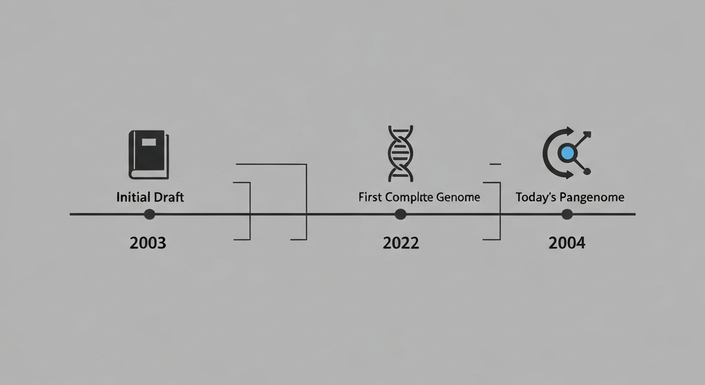 Comment en est-on arrivé là ?