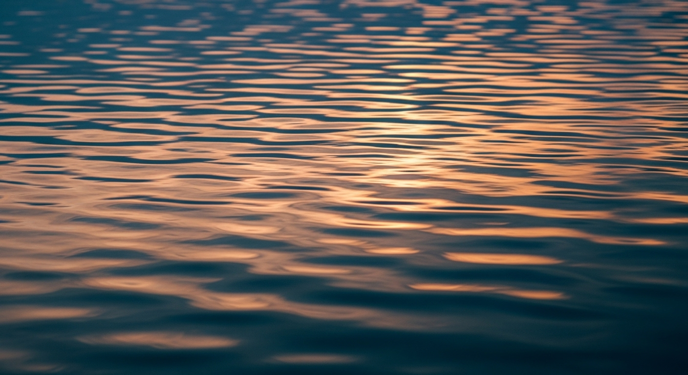 Quelques secondes d'inattention