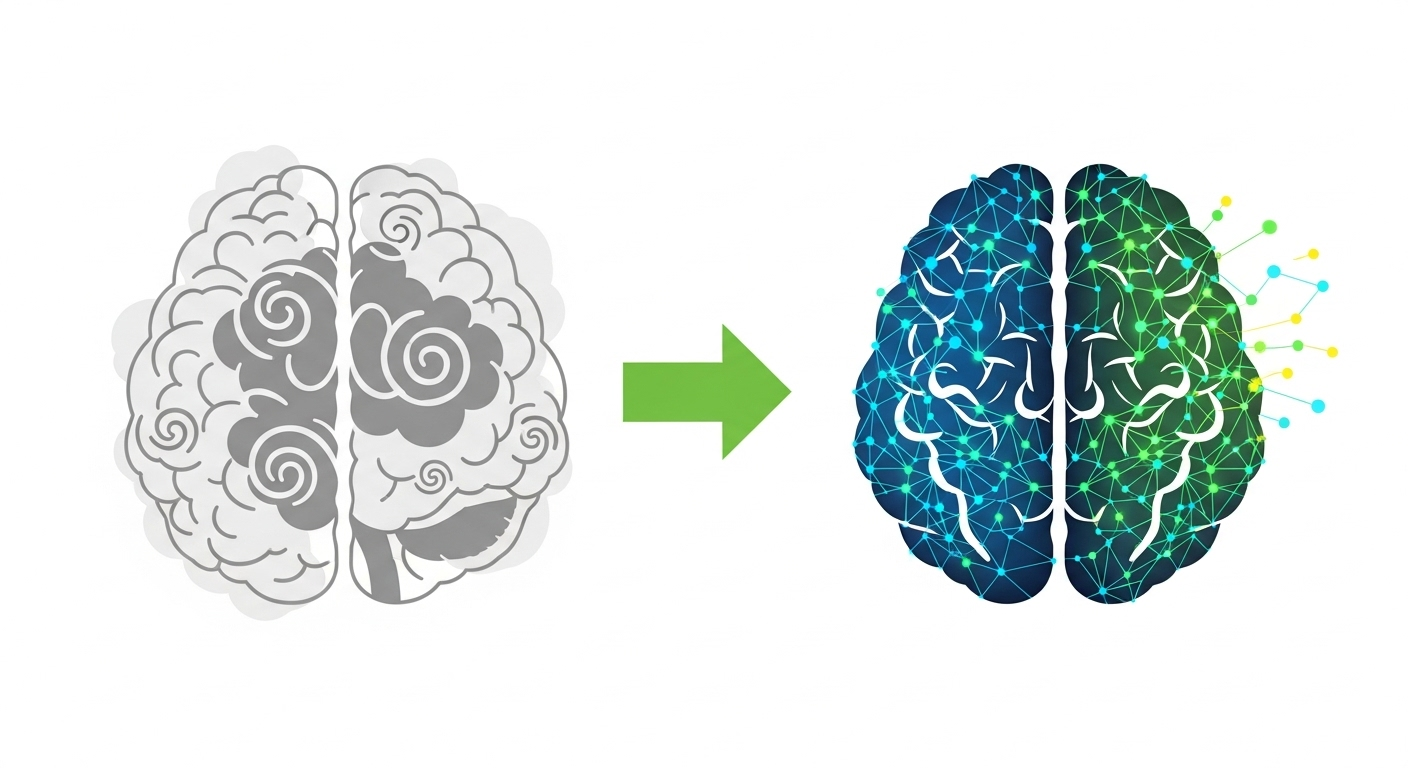 Un cerveau plus jeune et plus propre