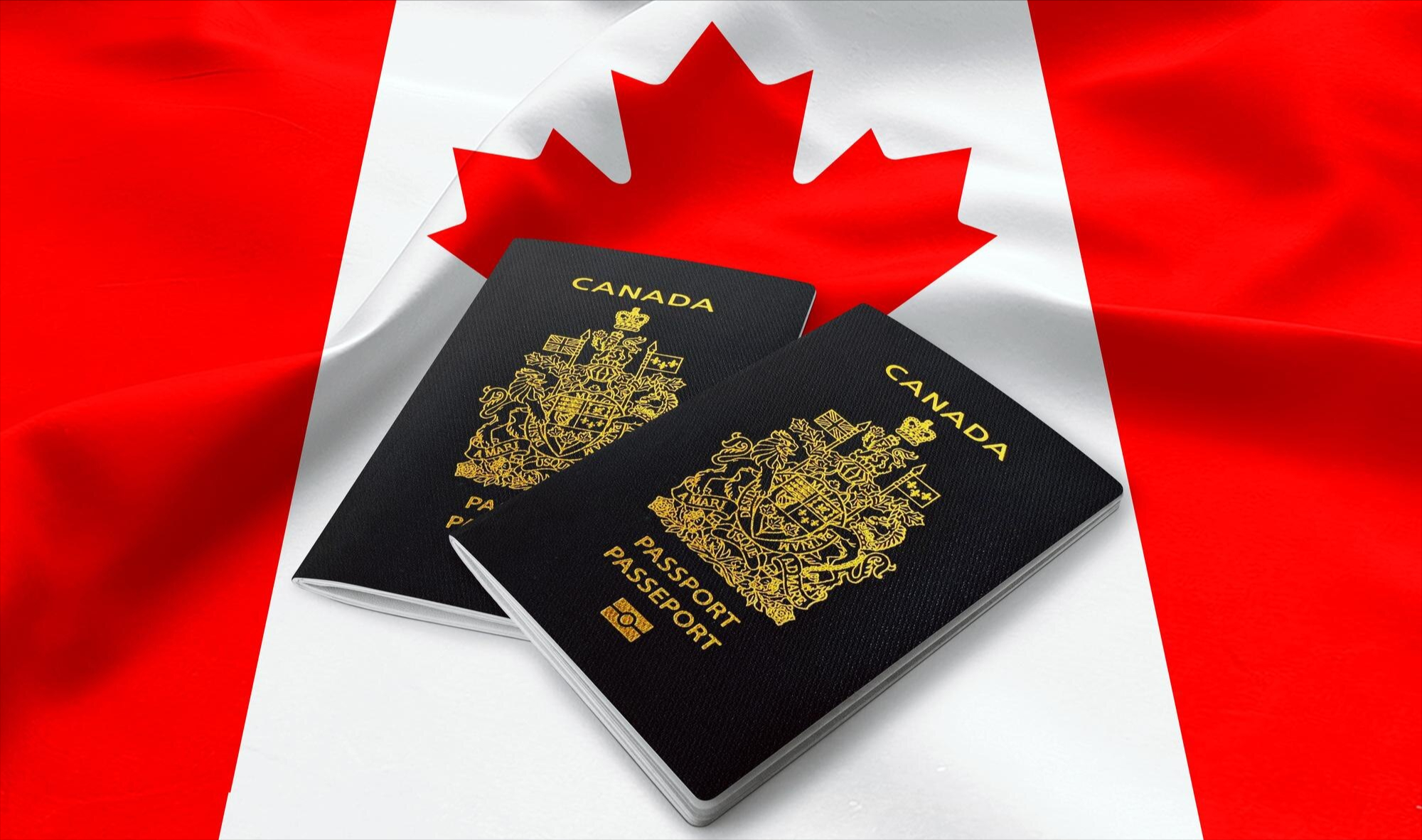 Conclusion : La feuille d'érable, un véritable passeport pour la sympathie