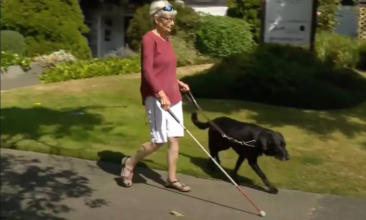 Les premiers moments magiques : 'Je peux voir les couleurs !'