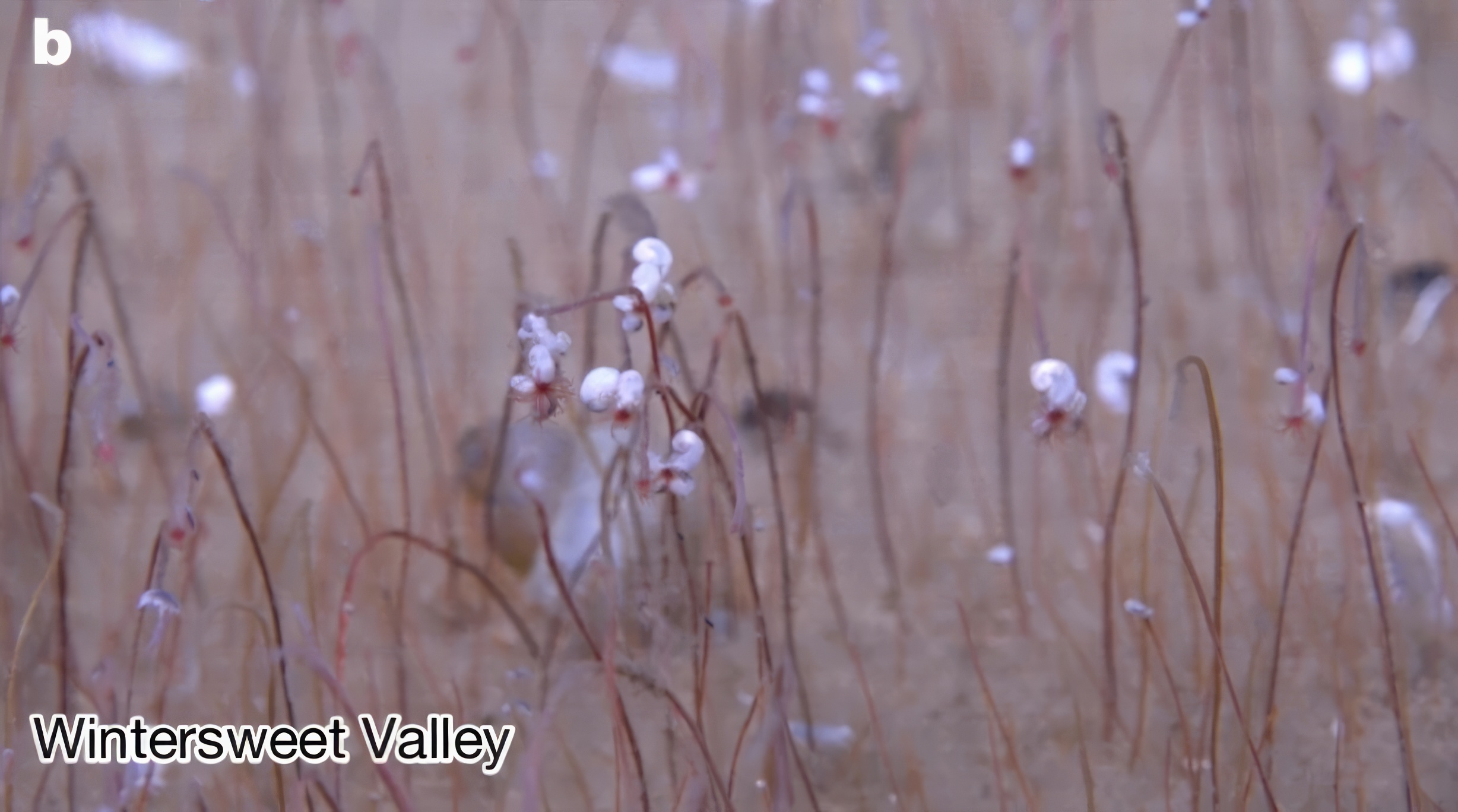 La source de vie : des microbes qui cuisinent avec des produits chimiques