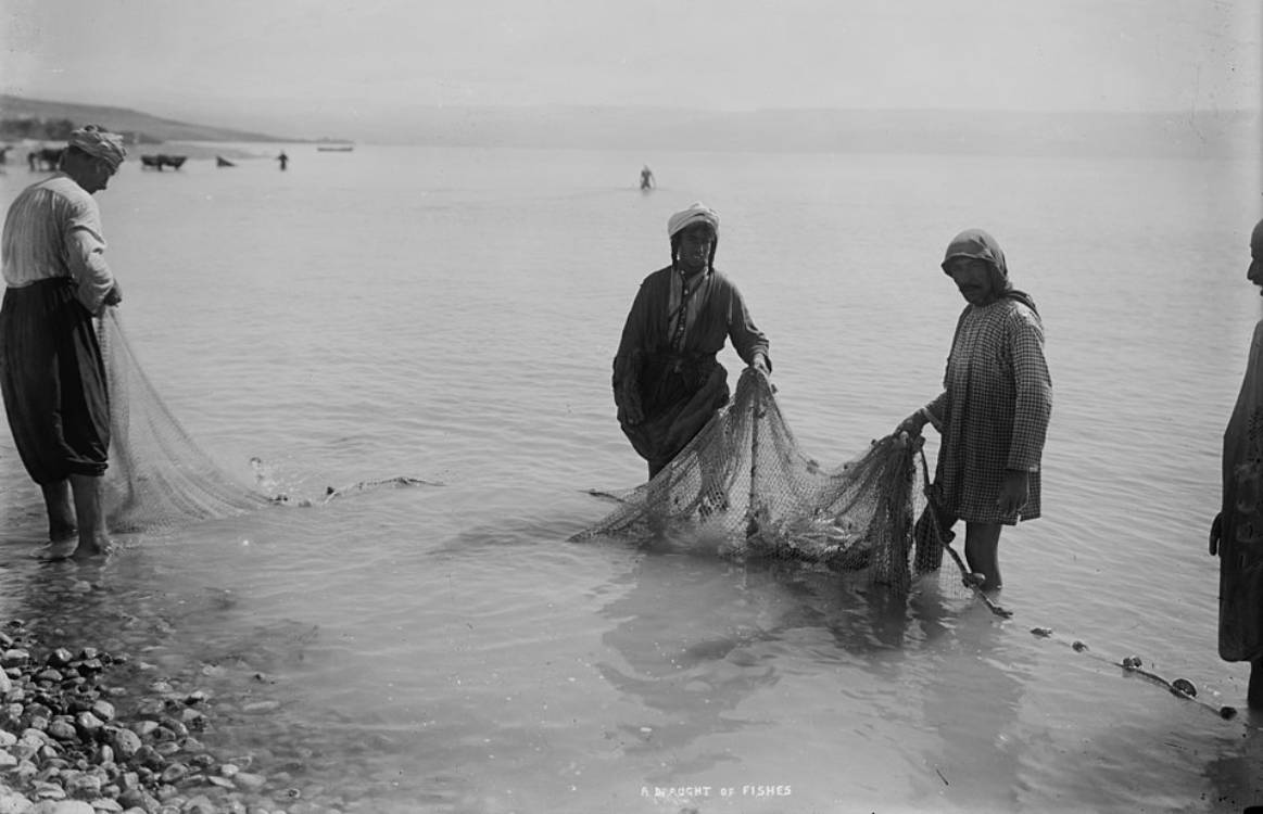 Quand des scientifiques modernes voient la même chose