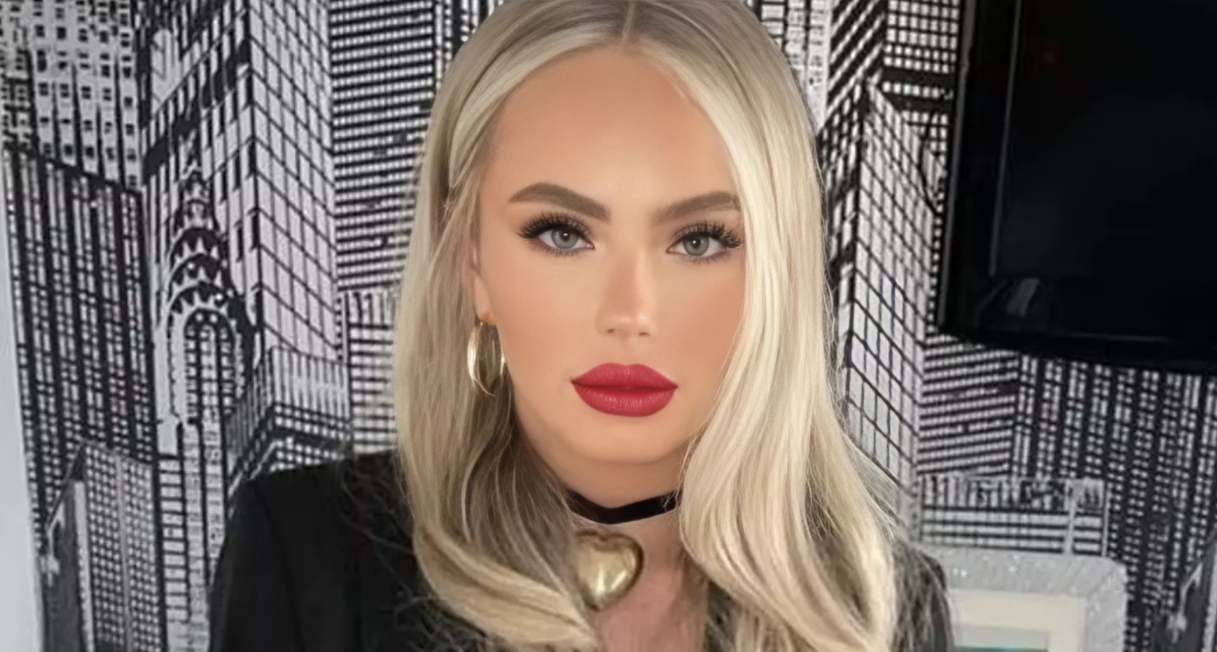 Un bref rappel de l'affaire