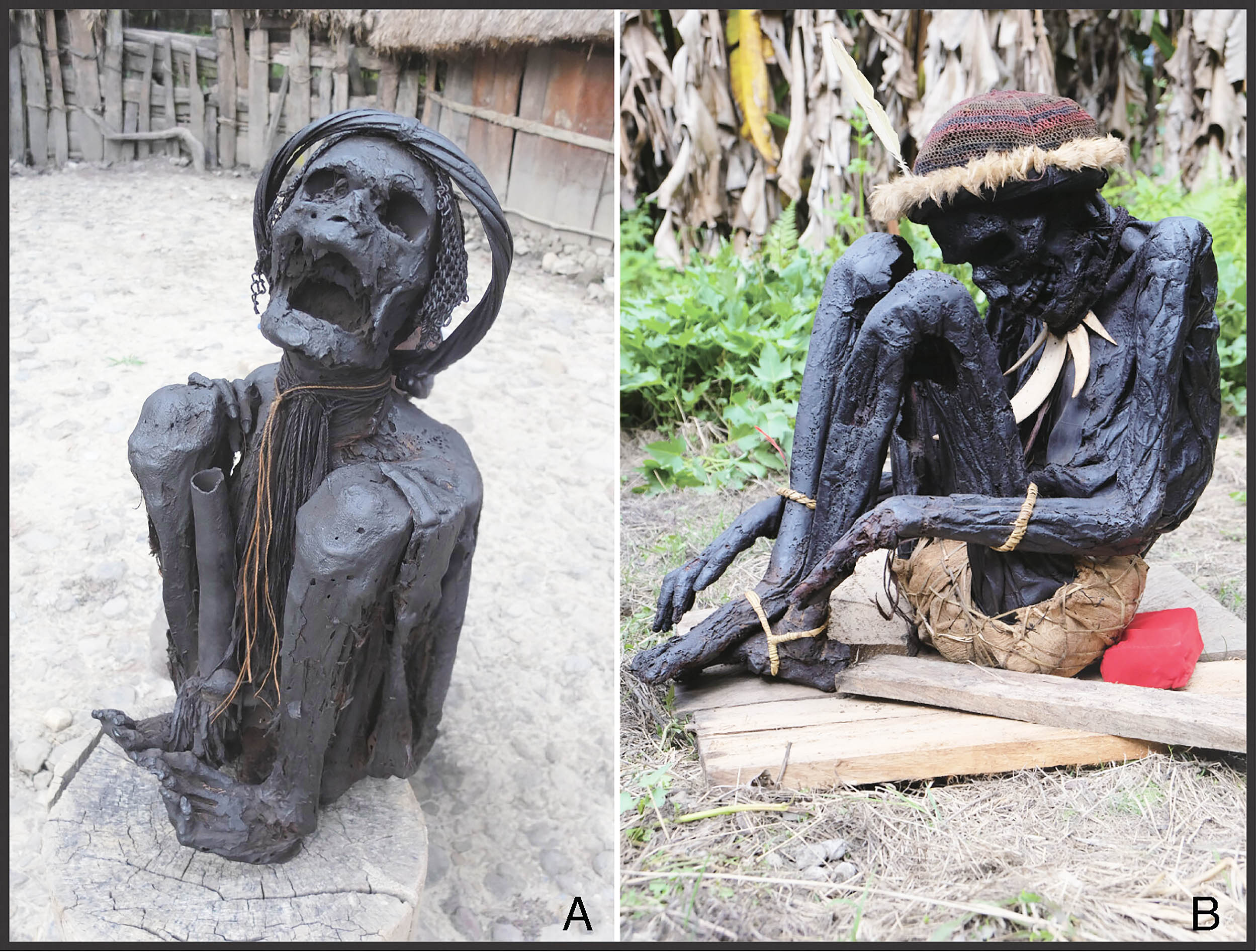 L'exemple vivant de la Papouasie