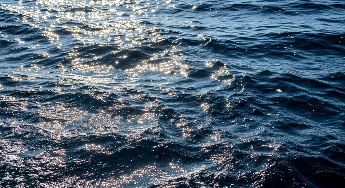 L'océan est très chaud, c'est le carburant des ouragans