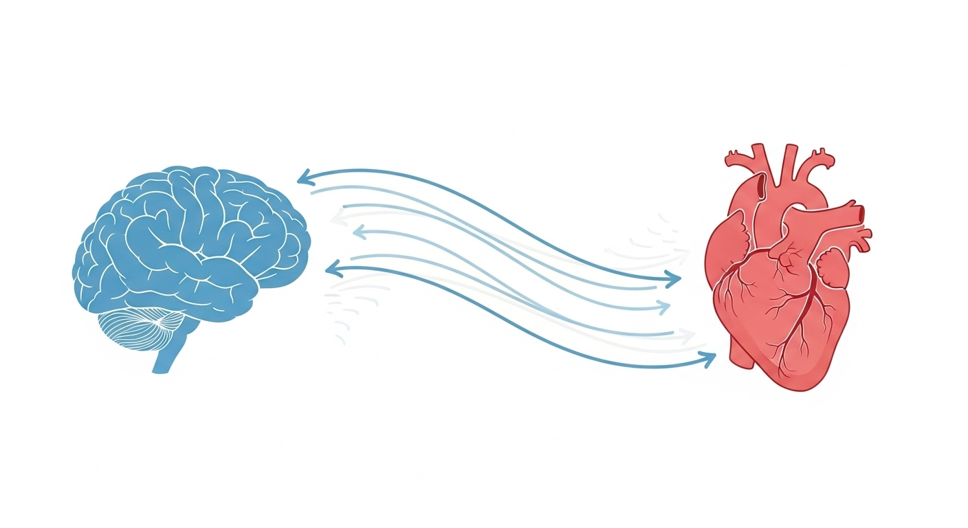 Pourquoi ça marche ? La mécanique du repos