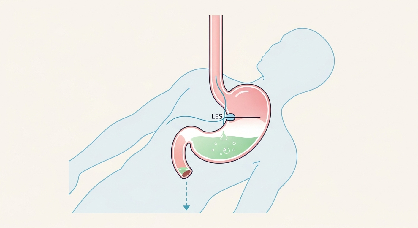 Le côté gauche, le meilleur ami de votre estomac