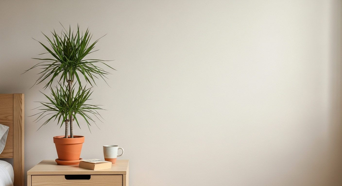 La chambre : le mythe de l'oxygène volé