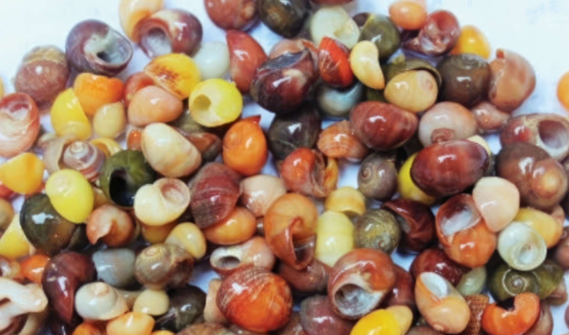 Des matériaux qui venaient de loin