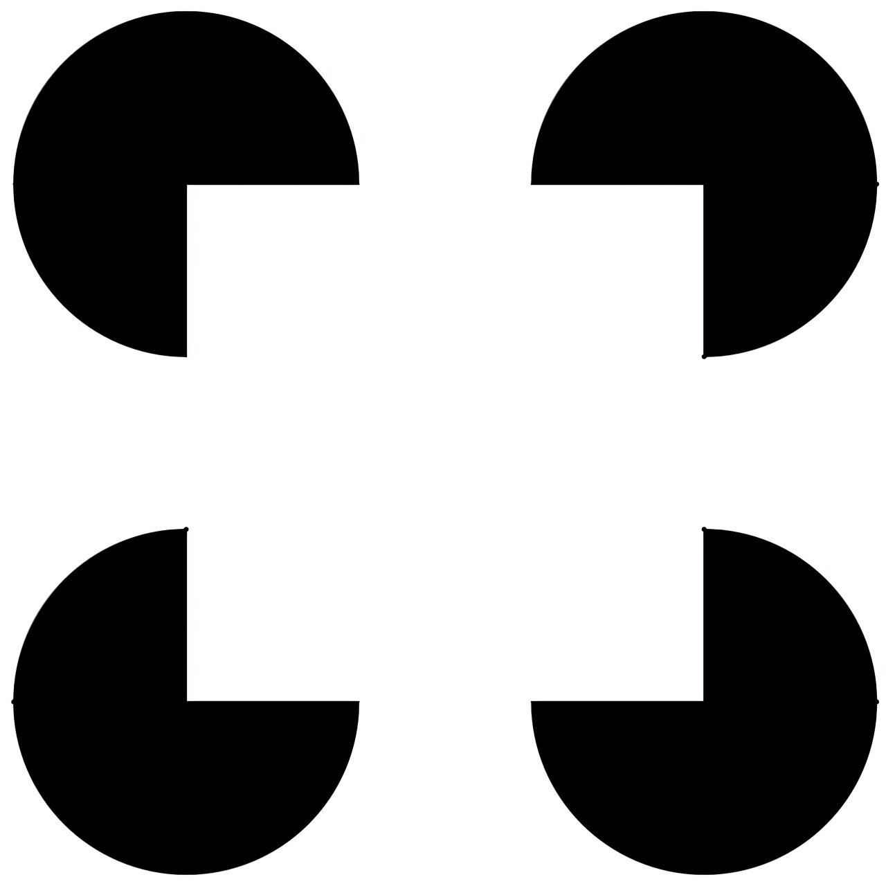 À la rencontre des neurones qui créent les illusions