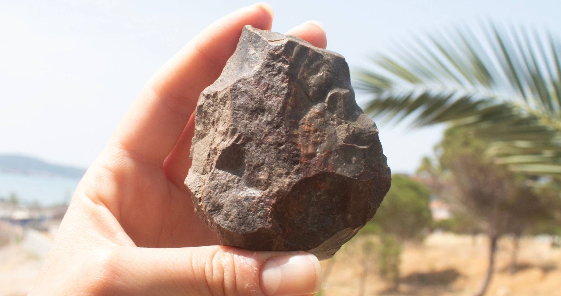 Un pont terrestre dont vous n&rsquo;avez jamais entendu parler : une découverte qui pourrait réécrire l&rsquo;histoire