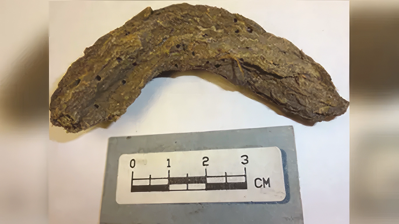 Des excréments de 1300 ans révèlent les maladies qui frappaient les enfants du Mexique