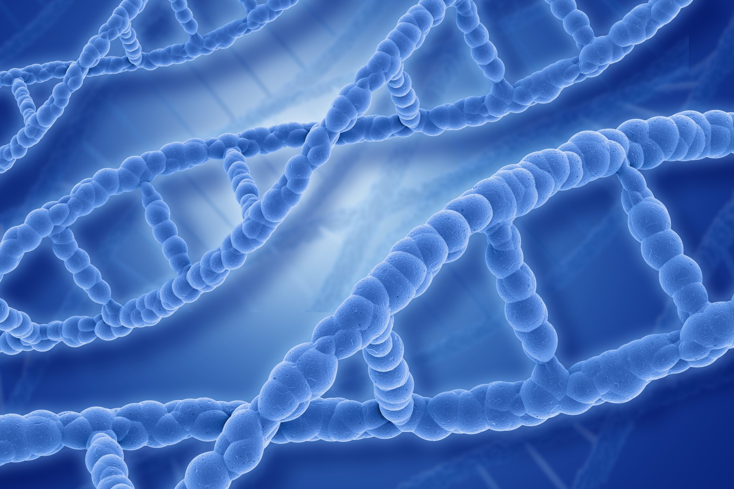 Sur la piste de l'ADN : comment les scientifiques ont remonté le temps