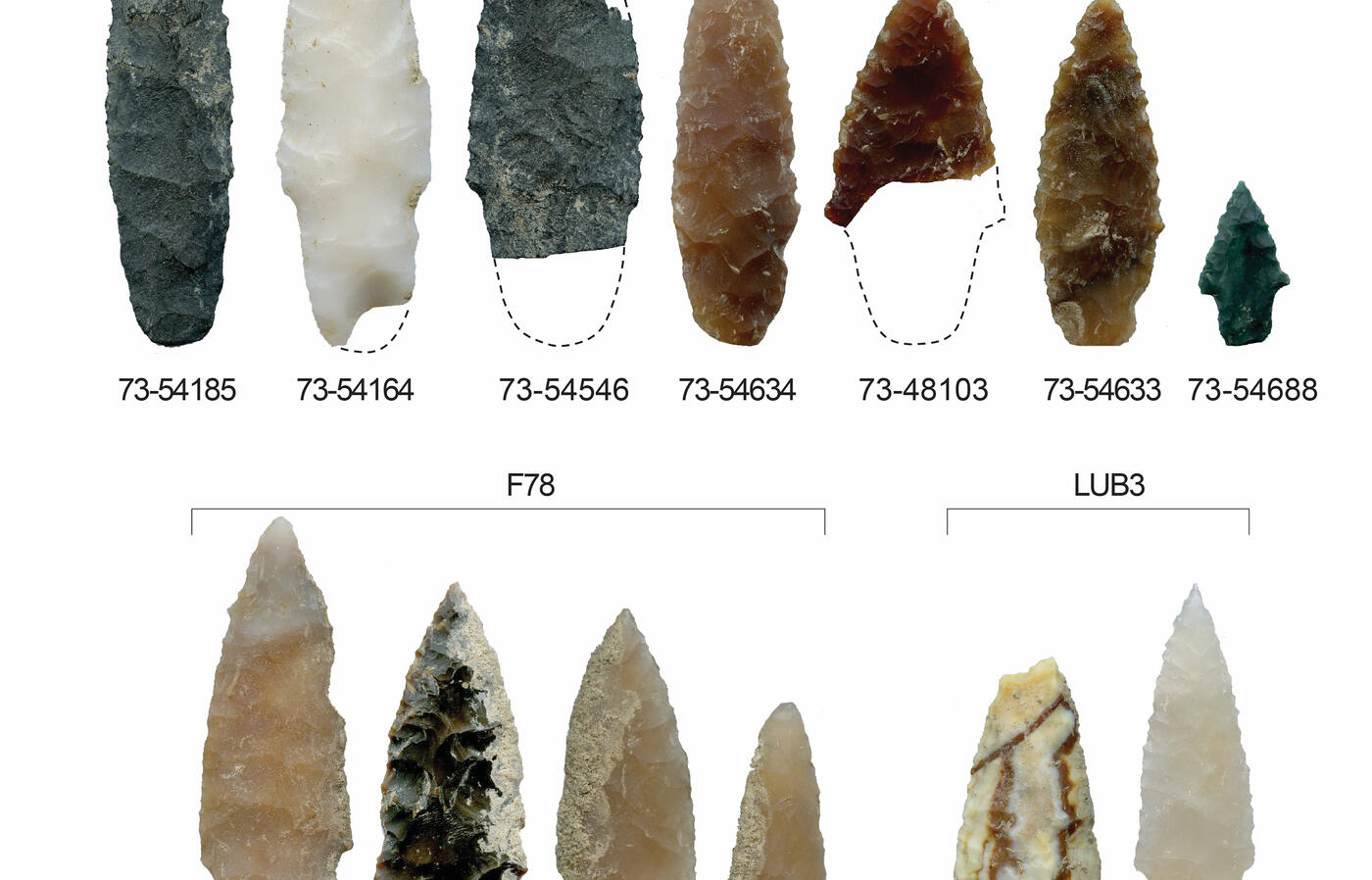 Des outils qui parlent d'un passé lointain