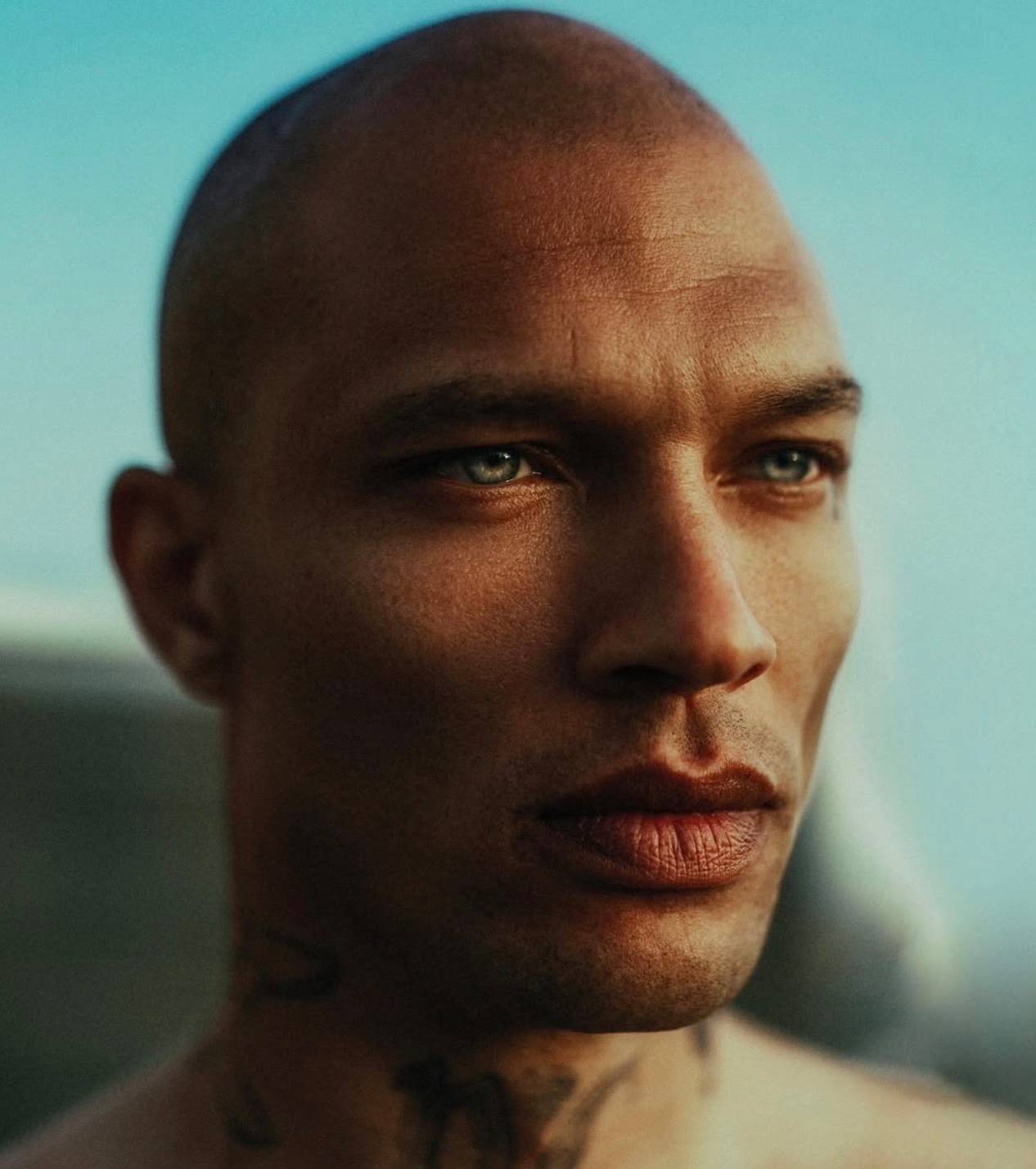 Conclusion : l'improbable 'glow-up' d'une icône d'internet