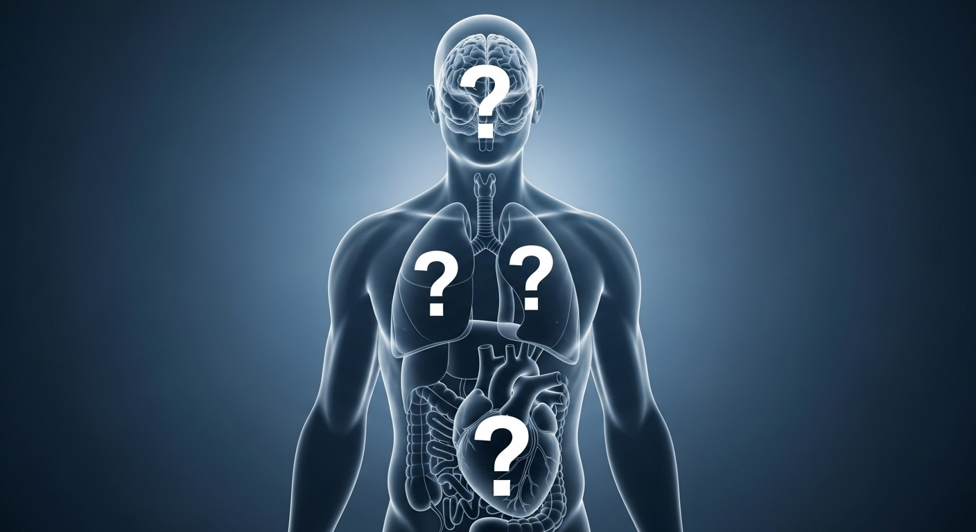 Faut-il s'inquiéter de ces microplastiques ?