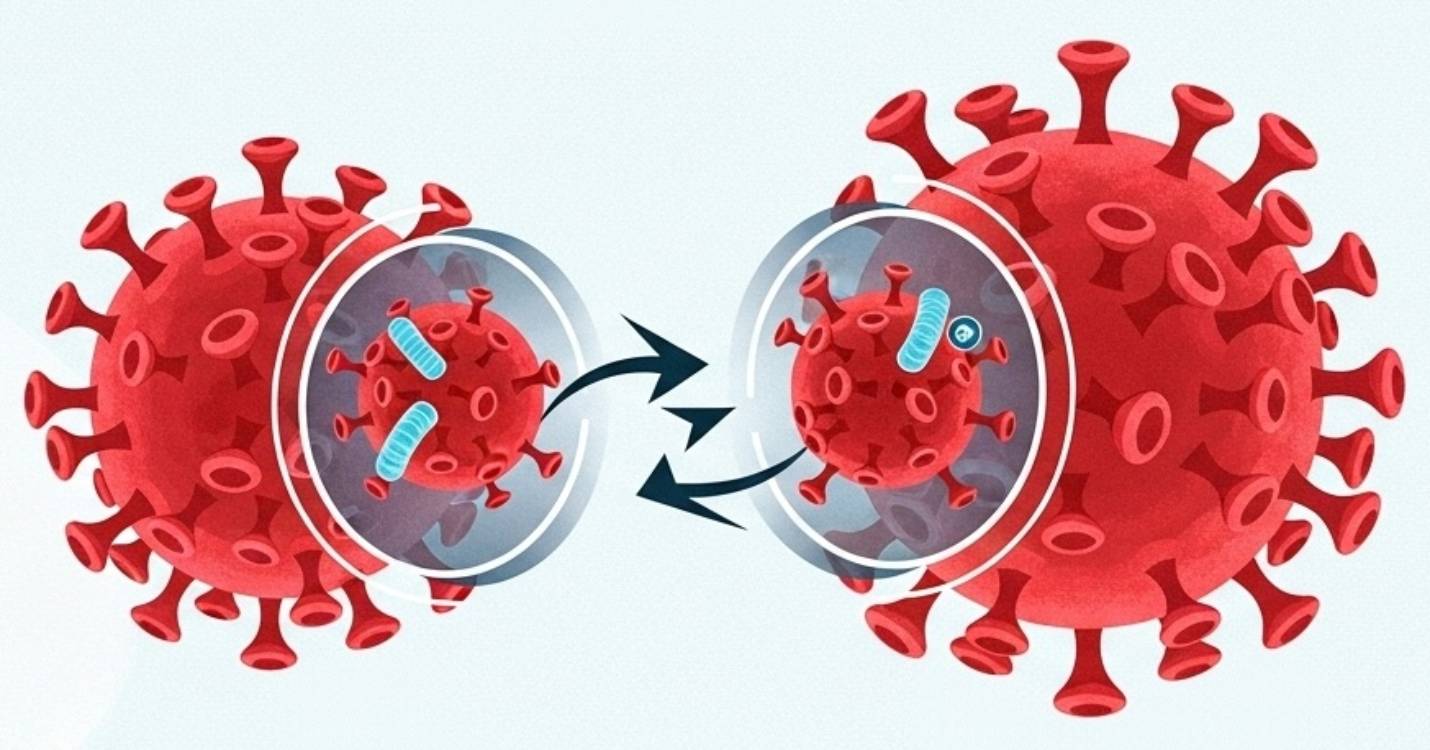 Covid : ce que l’on sait des variants « Stratus » et « Nimbus » qui se propagent aux en Amérique du Nord