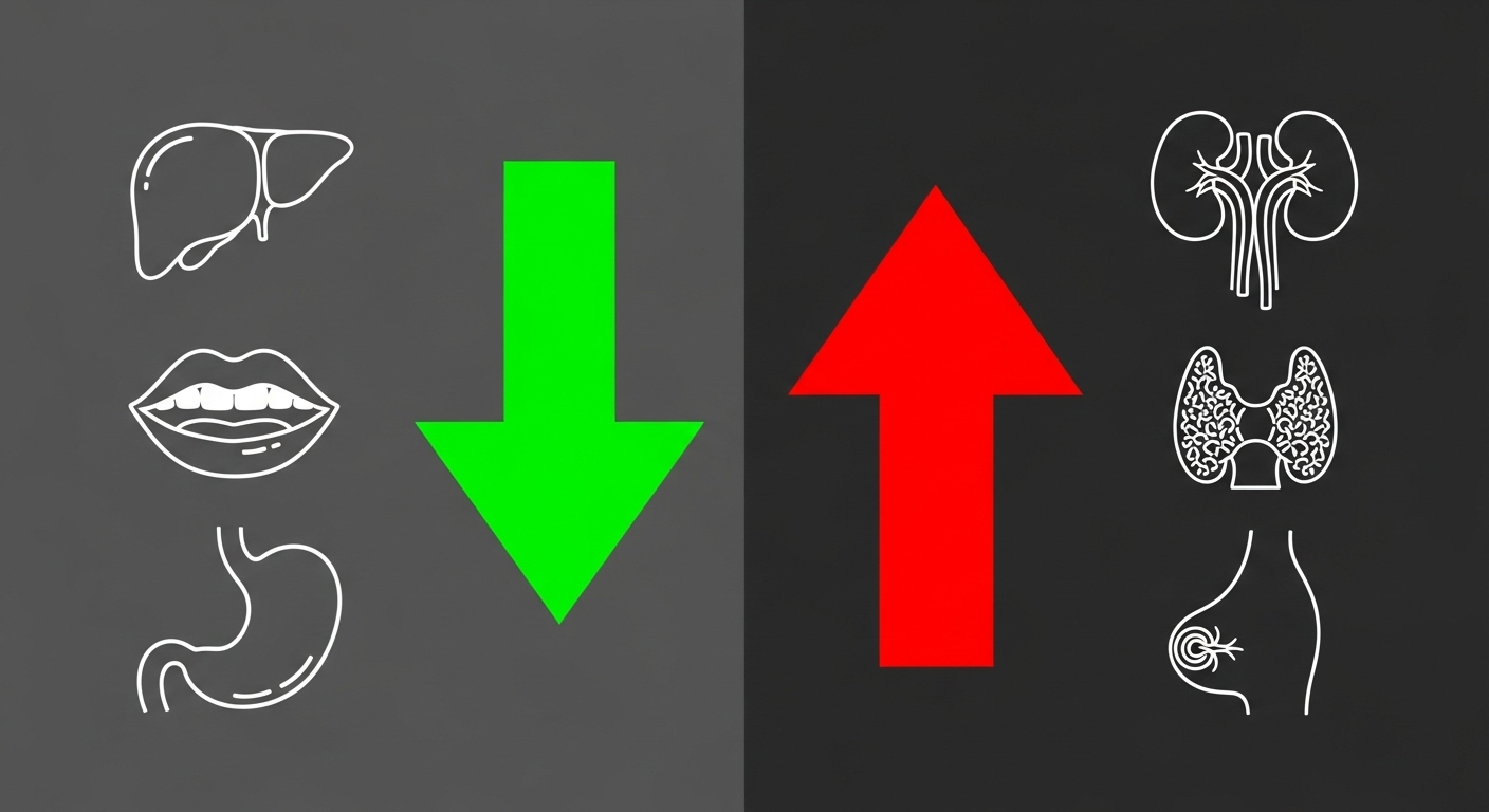 Des tendances contrastées : tous les cancers ne sont pas en hausse