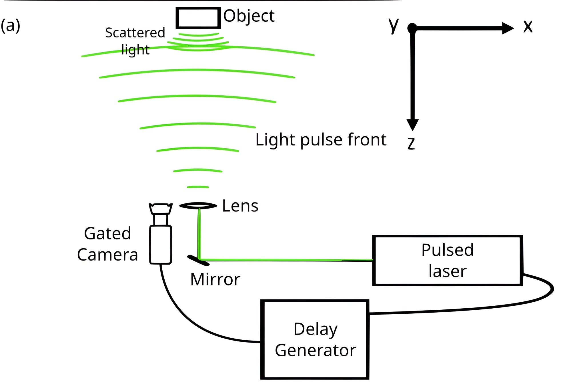 L'effet de rotation, et non de compression