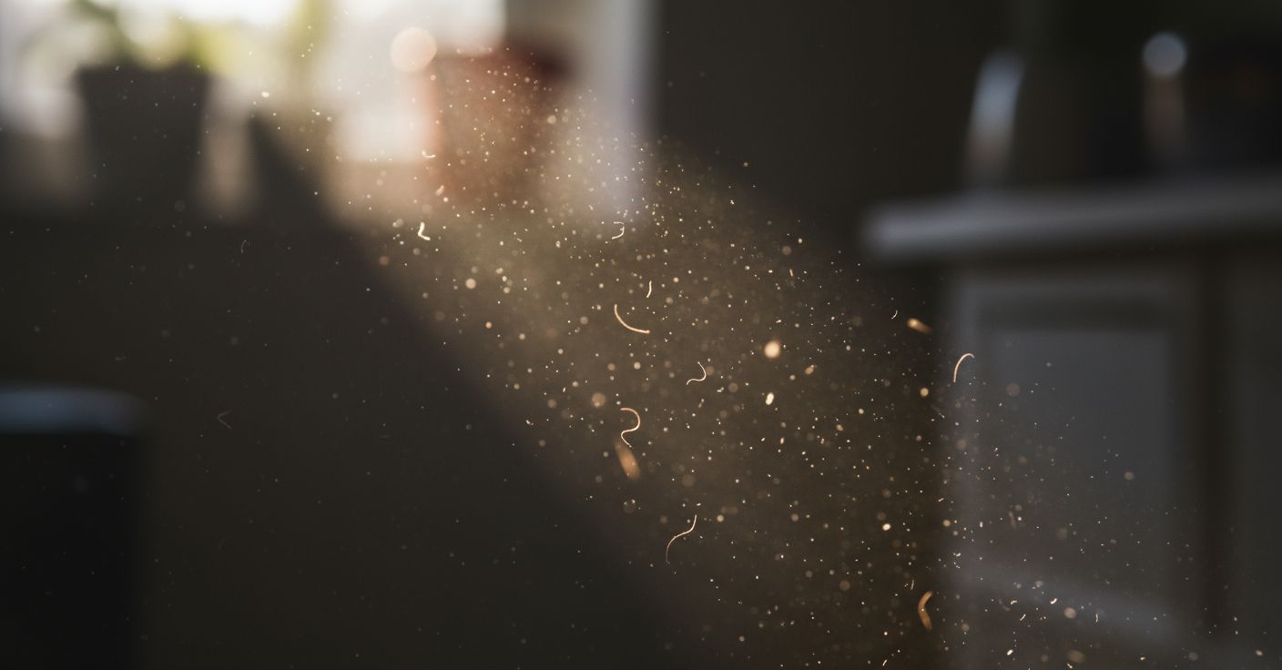 Allergies aux chats et aux acariens : une lumière UV pourrait bientôt tout changer !