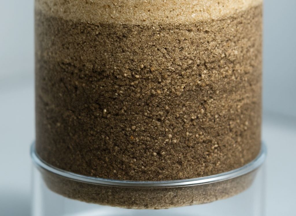 Comment les scientifiques étudient son passé ?