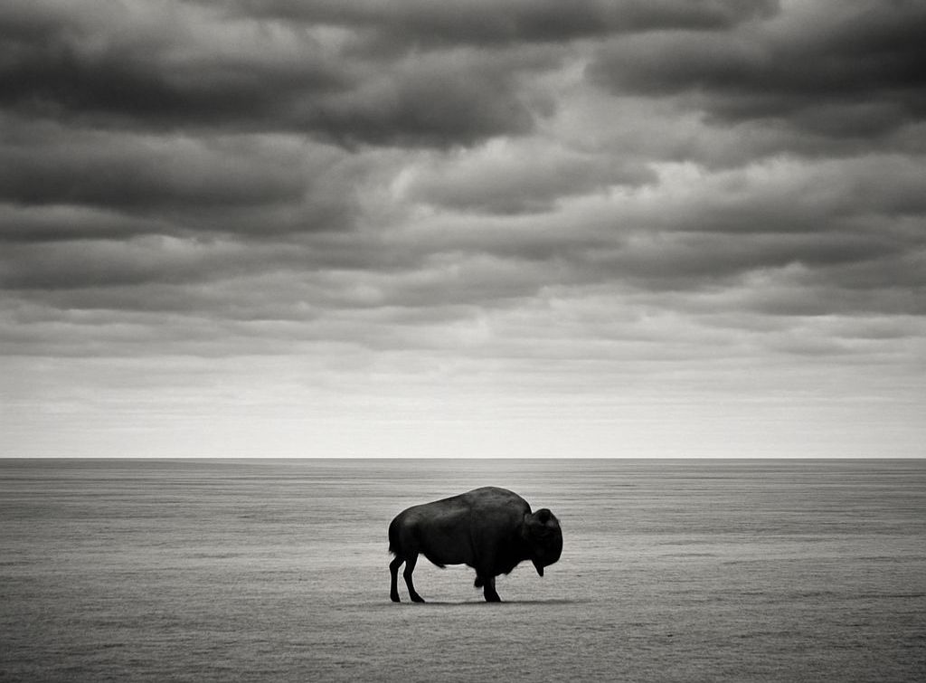 Une population décimée, au bord du gouffre