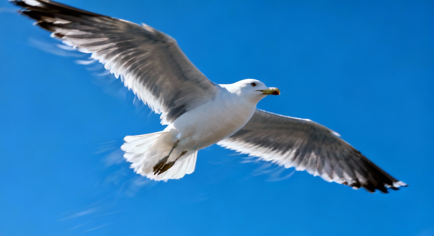 Les oiseaux, de vrais jardiniers volants