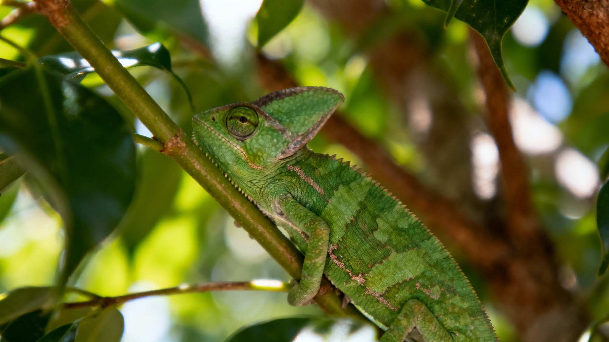 Se cacher, oui, mais pas seulement