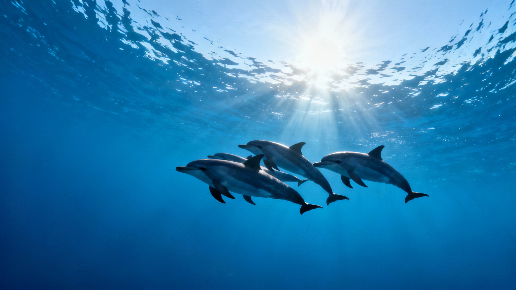 Conclusion : Un monde de surprises