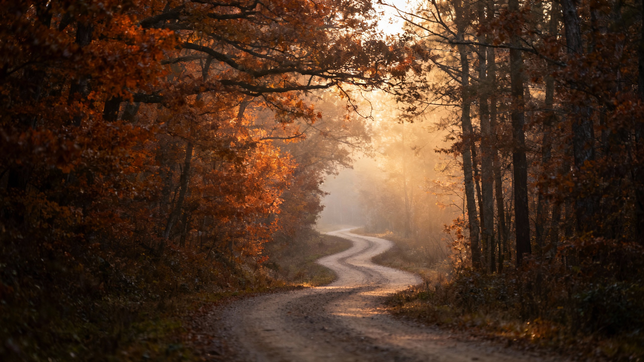 #7 « Tu as de la chance d’avoir été détectée tôt »