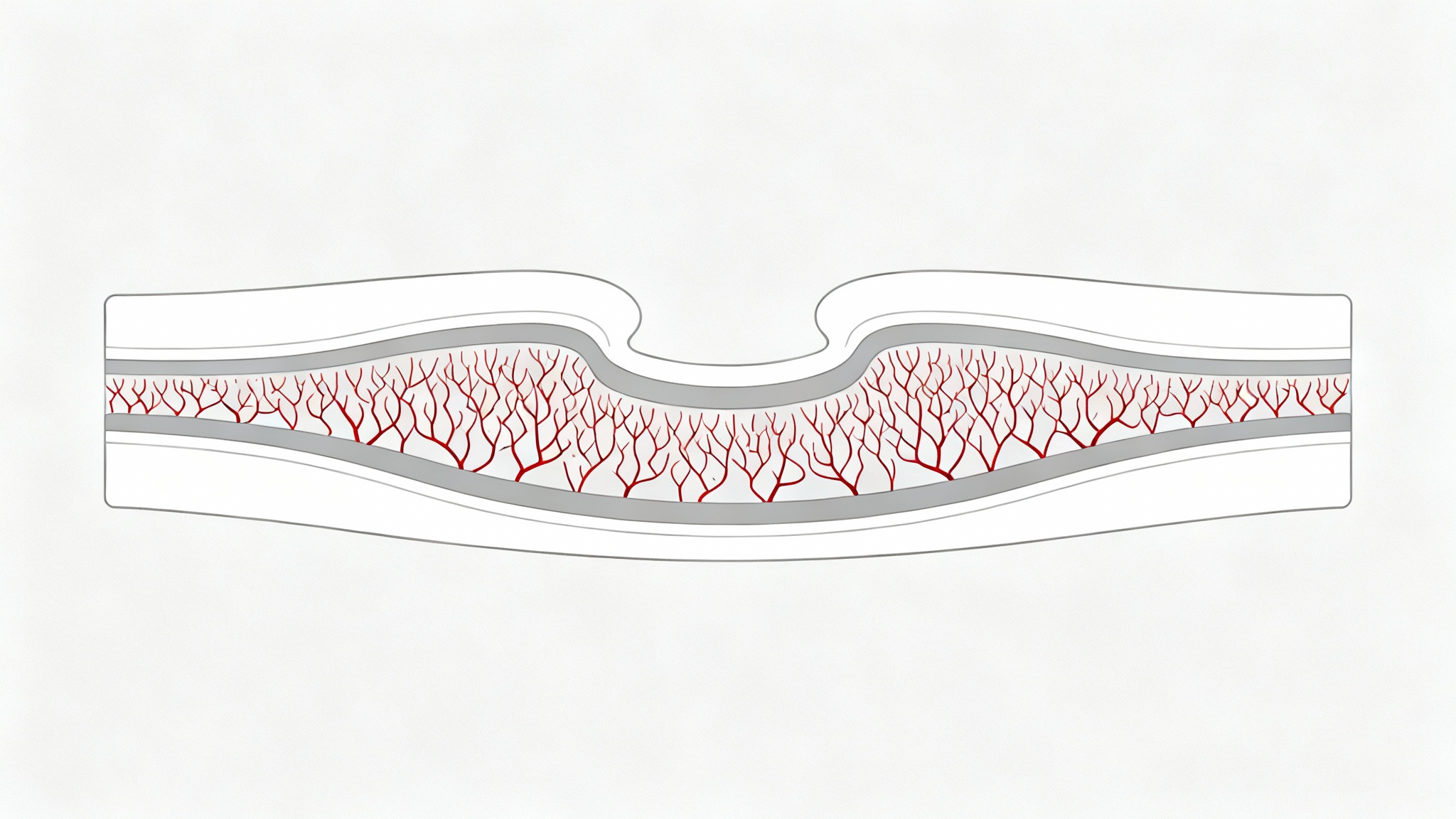 Comment ça marche, concrètement ?