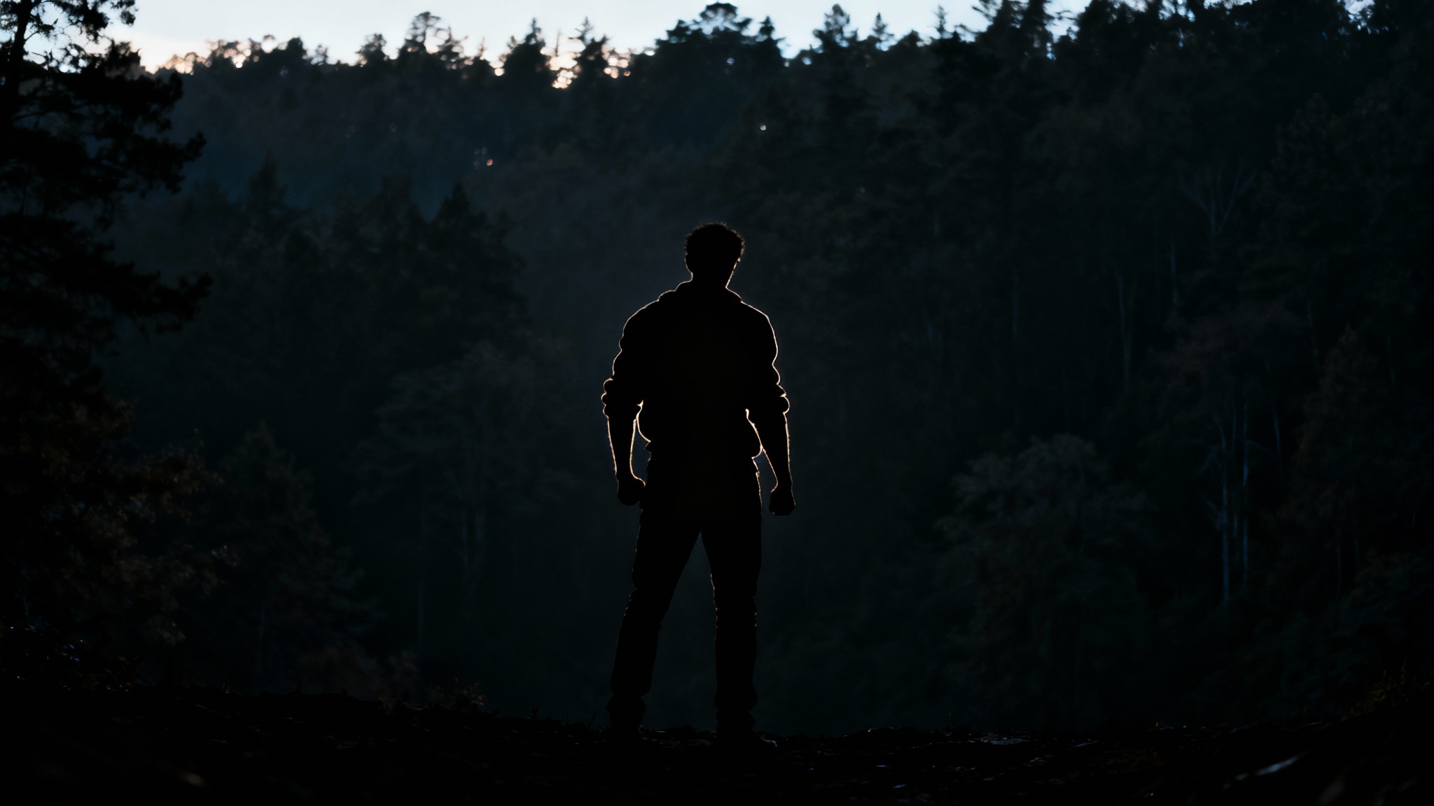 Le centre de contrôle de nos émotions fortes