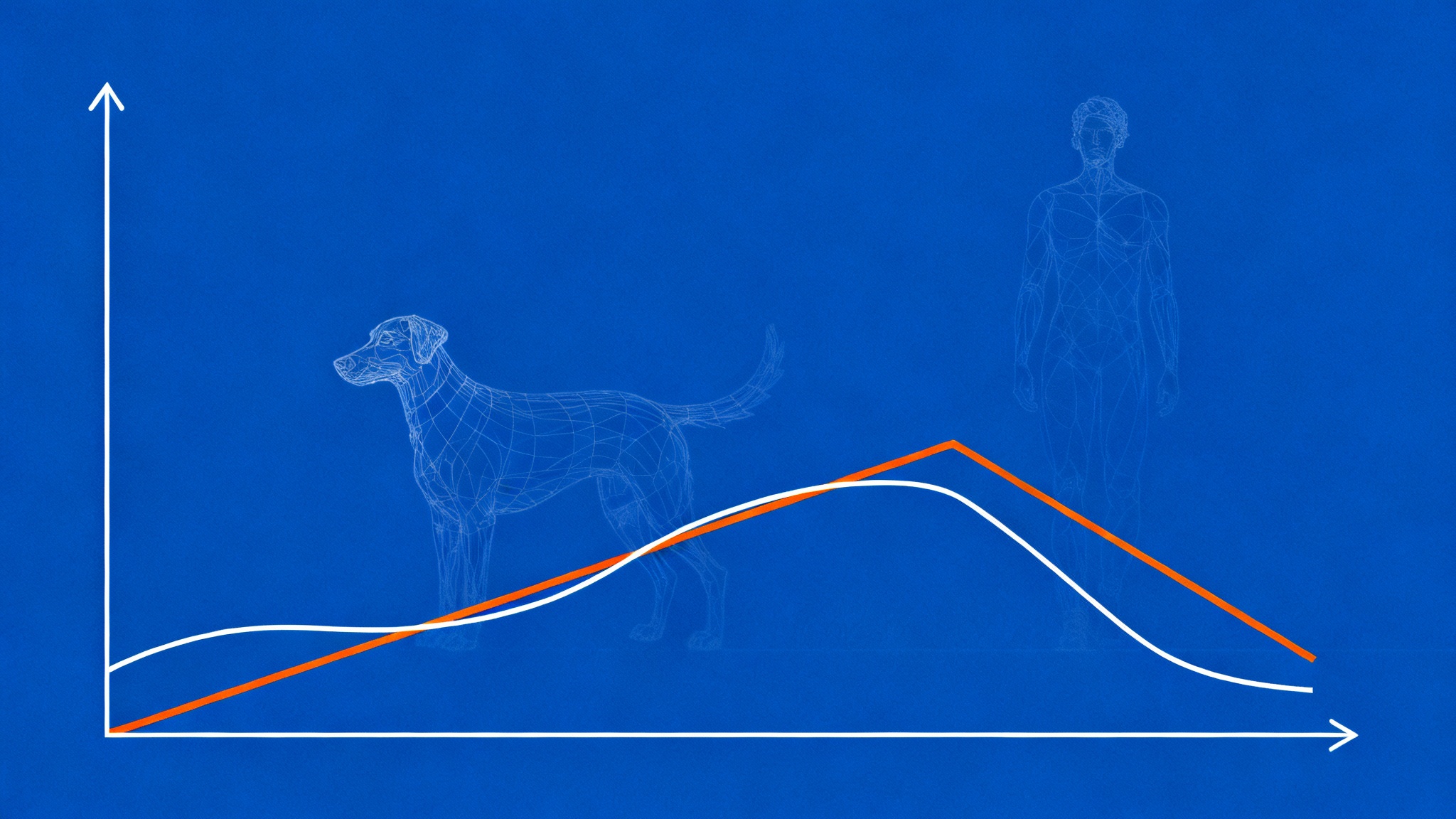 Entre études et idées reçues, le grand flou