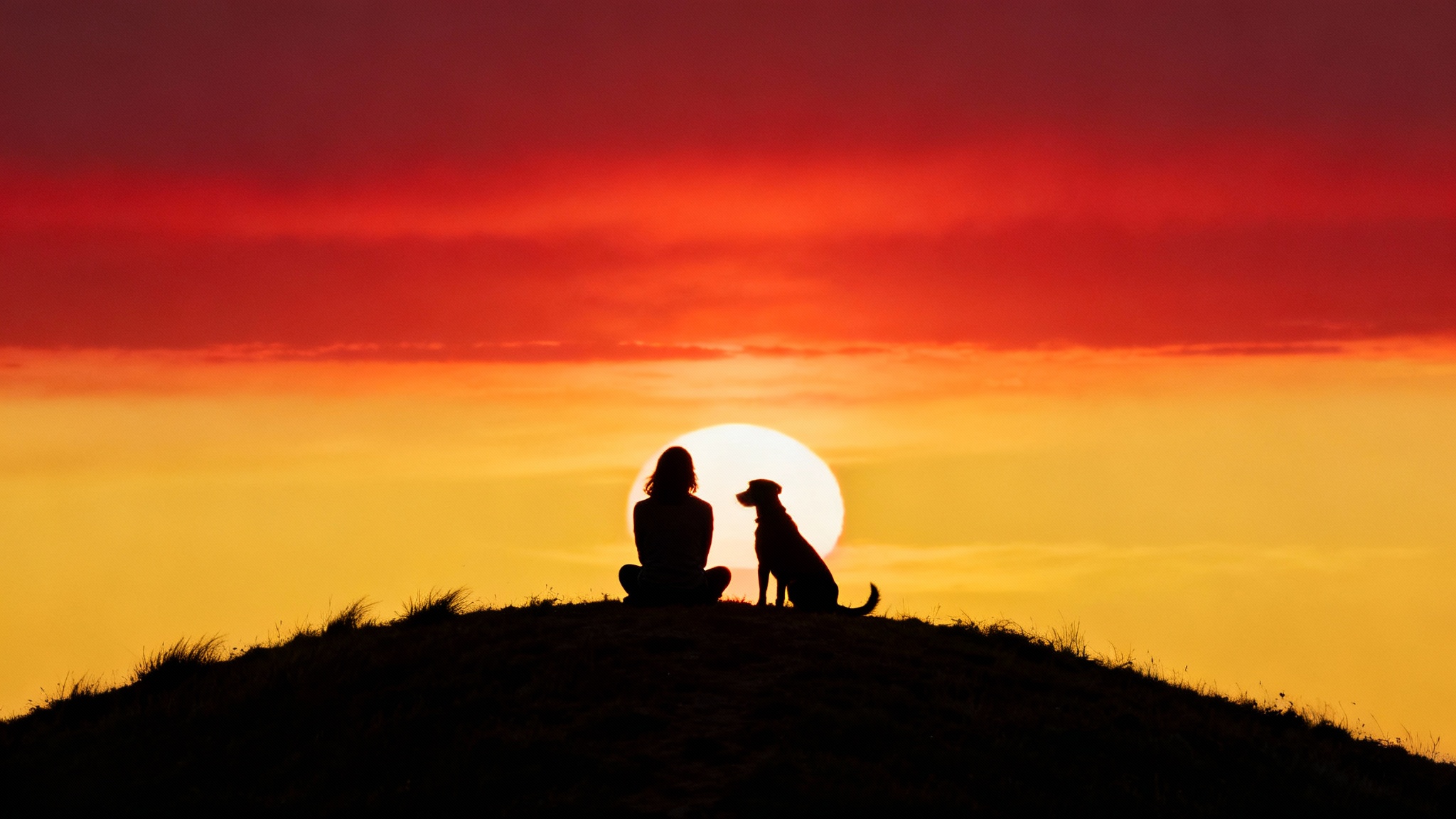 Plus que l'animal, la qualité de la relation