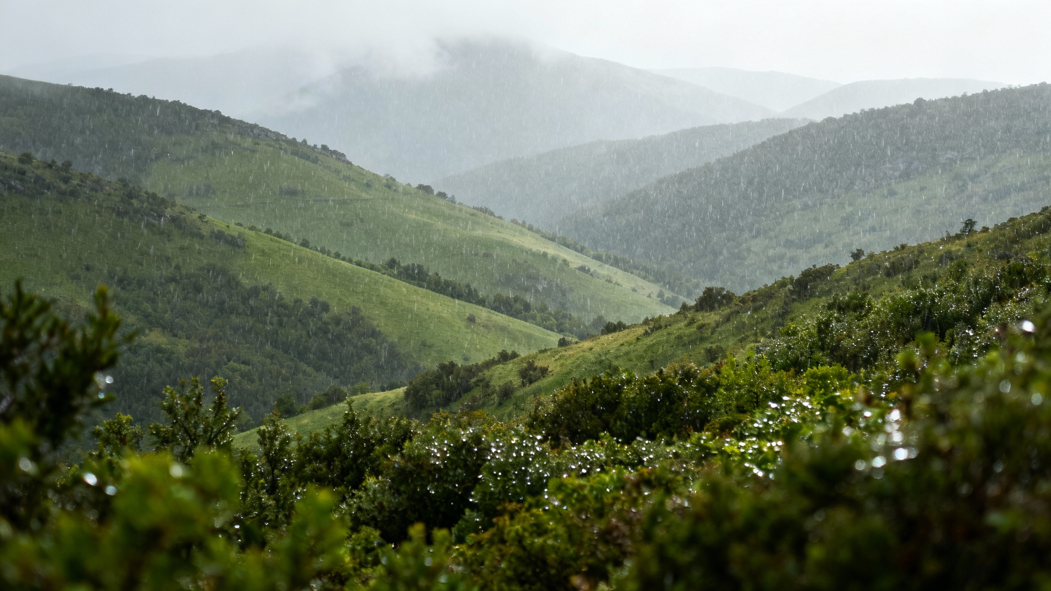 L'hypothèse optimiste : des pluies plus sages